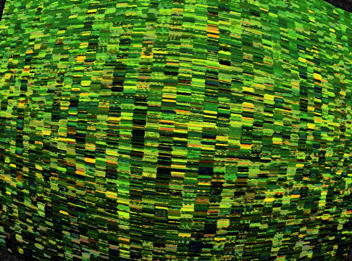 "The voice of NM Variation Nr. 4"